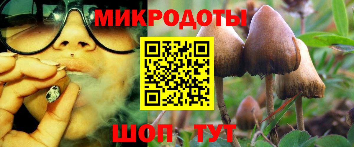Реж  Галлюциногенные грибы Psilocybine cubensis  Вход с VPN 